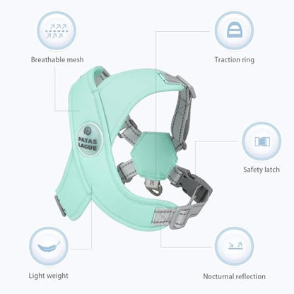 Patas Lague Dog Harness with Leash Set Adjustable Soft Padded Step-in Dog Vest No Choke No Pull Reflective for Small Pets with Poop Bags and Dispenser, Solid and No-chew, Green XS - color: Green, size: XS (Neck 16-19.1'' Chest 18.8-21.5'')