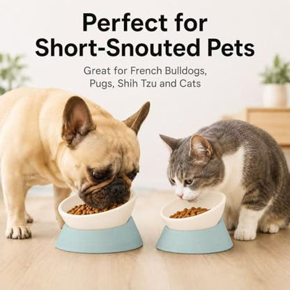 DZXZY French Bulldog Food Bowl, Slanted Tilted Pug Dog Bowl,Non-Slip Pet Feeder for Frenchie, Shih Tzu, Flat Faced Small Dogs, Puppies,Cat(Green, M -2 Cup) - color: Green, size: M -2 Cup