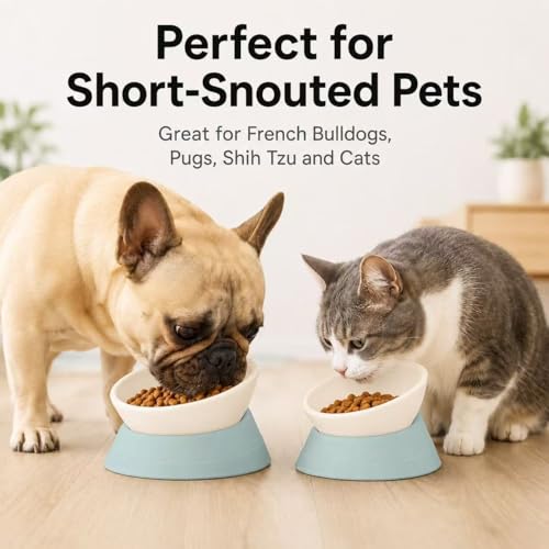 Tilted Angle Dog Bowls - Slanted Resin Dog Cat Food Bowl, Non-Slip Pet Feeder with Detachable Silicone Stand (Green, L - 4 Cup) - color: Green, size: L - 4 Cup