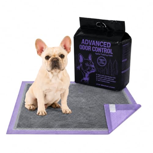 Charcoal Dog Training Pads Advanced Odor Control Puppy Pee Pads, 22x22 Inch, 7-Layer Leak-Proof, Ultra Absorbent, Adhesive Tabs, 50 Count