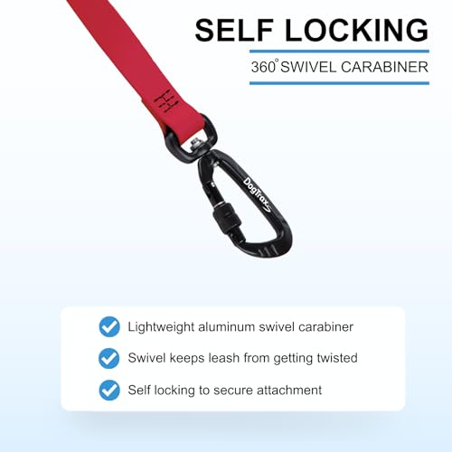 DogTraxs Essential Biothane Dog Leash, 3/4 in x 4 ft, Cerulean Blue | Waterproof, For Small, Large, Medium Dogs, Dog Training, Locking Carabiner - color: Cerulean Blue, size: 3/4 In x 4 Feet