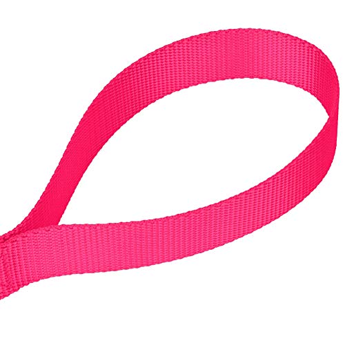 Country Brook Petz - Vibrant 17 Color Selection - Heavyduty Doublehandle Nylon Leash (6 Foot, 3/4 Inch Wide, Hot Pink) - color: Hot Pink