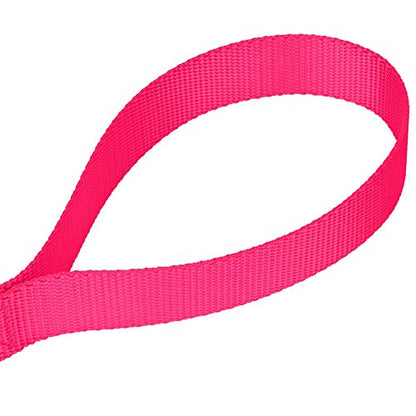 Country Brook Petz - Vibrant 17 Color Selection - Heavyduty Doublehandle Nylon Leash (6 Foot, 3/4 Inch Wide, Hot Pink) - color: Hot Pink