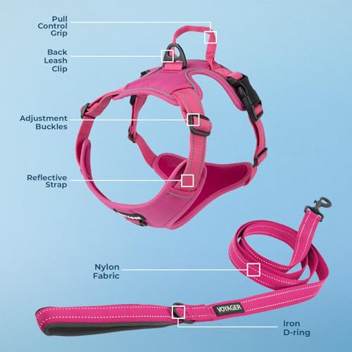 Voyager Dog Harness Dual Leash Attachment No-Pull Control Adjustable Soft but Strong Pet Harness for Medium and Large Dogs with 3M Reflective Technology, Leash Set Fuchsia Nylon, S (Chest: 16-20") - color: Leash Set Fuchsia Nylon, size: S (Chest: 16 - 20"