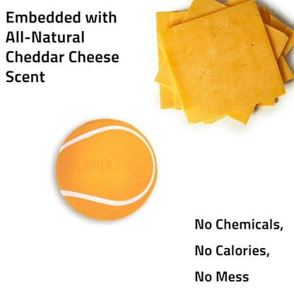 Playology Dog Toys | Squeaky Chew Ball for Dogs| Cheddar Cheese Scented Medium Dog Ball | Bouncy Floating Dog Balls - size: Medium, style: Cheddar Cheese