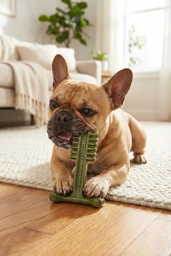 SPOT Bam-Bones Plus Toothbrush Dog Chew Toy 2-Pack for Small Dogs 10-30 lbs, Bamboo & Nylon Dental Chew with Mint & Baking Soda, T-Bone for Moderate to Heavy Chewers, 4 Inch - size: 4 Inch (Pack of 2)
