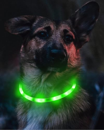 Joytale Light Up Dog Collar, Rechargeable Rainproof LED Collar for Night Walking Safety, Soft Silicone Glow in The Dark, Suitable for Small Medium Large Dogs, Green - color: Green