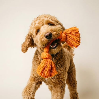 Playology Dog Toys | Dri-Tech Rope Tug of War Dog Toy for Tough Chewers | Cheddar Cheese Scented Medium Tug Rope Toys for Dogs - size: Medium, style: Cheddar Cheese