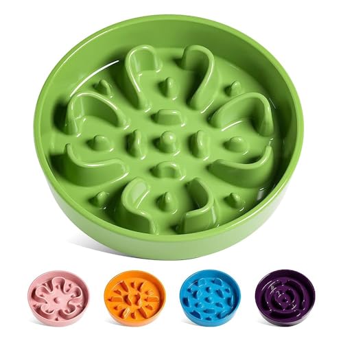 LE TAUCI Slow Feeder Dog Bowls Ceramic, 3 Cups Slow Feeding Dog Bowl Medium Large Breed, Pet Bowl for Fast Eaters, Puzzle Pet Dishes,Clover Green - color: Clover Green, size: L-3 Cups
