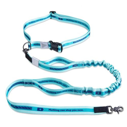 Hands Free Dog Leash with Waist Belt Lifetime Replacement, Dual Handle Bungee Leash for Running, Jogging, Hiking and Walking, for Medium and Large Dogs 5118 - color: Aqua Blue