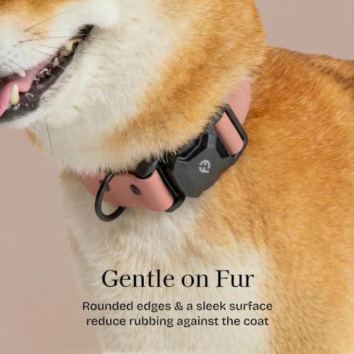 Fei & Eve VERO Dog Collar, Blush, Medium | MagEase Magnetic Buckle, Waterproof PVC, Odor Resistant, Easy Clean, Heavy Duty - color: Blush, size: M
