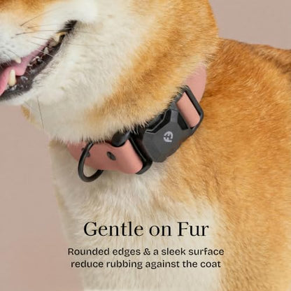 Fei & Eve VERO Dog Collar, Blush, Medium | MagEase Magnetic Buckle, Waterproof PVC, Odor Resistant, Easy Clean, Heavy Duty - color: Blush, size: M