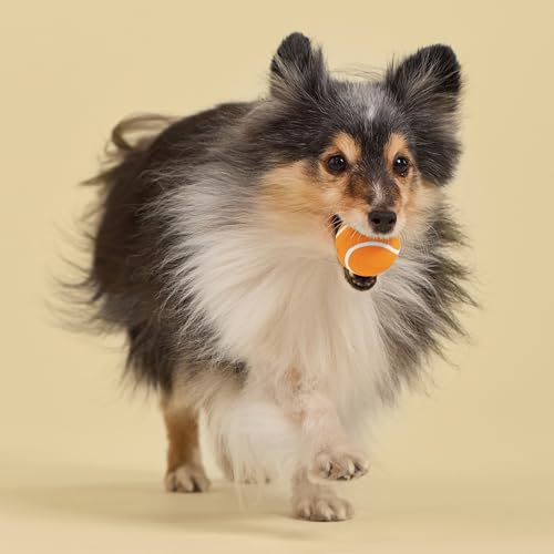 Playology Dog Toys | Squeaky Chew Ball for Dogs, Value 3-Pack | Cheddar Cheese Scented Small Dog Balls | Bouncy Floating Chew Toys for Fetch - size: Small (VALUE 3-Pack), style: Cheddar Cheese