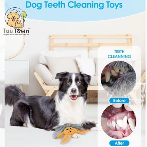 Fox Dog Toy, No Stuffing Plush Squeaky Crinkle Toy for Gentle Chewing & Interactive Play, Puppy Chew Toy for Small Medium Large Dogs, Tail Town - color: Fennec Fox