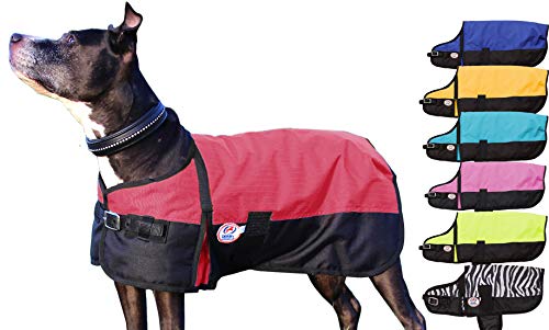 Derby Originals Horse Tough 600D Ripstop Waterproof Winter Dog Coat 150g Medium Weight - color: Red, size: 8 in