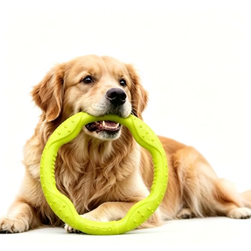 LaRoo Dog Ring Toy, Durable Soft Flying Disc for Throwing Catching Grabbing, Water Floating Dog Training Fetch Ring for Medium Large Breeds, Outdoor (Green/11.8Inch) - color: Green-L