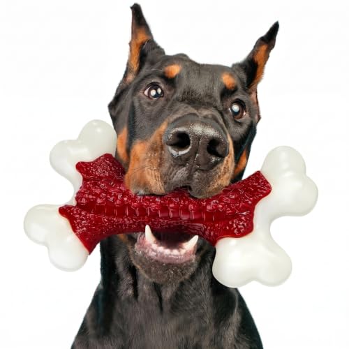 Kseroo Tough Dog Toys for Aggressive Chewers: Beef Flavored Hard Nylon Bones, Dog Chew Toys for Medium Large Breed Dogs (20-90 lbs), Red - color: 1PC-Beef-Red
