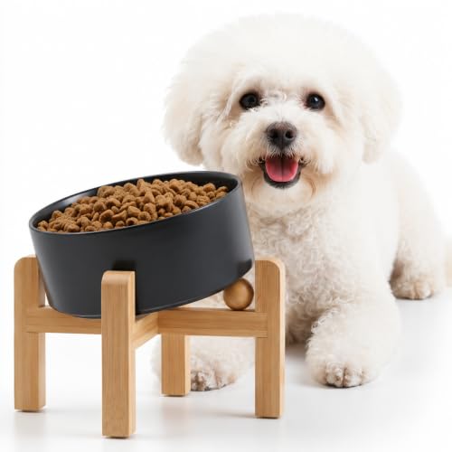 Petygooing Black Raised/Elevated 15°Slanted Ceramic Dog Bowl for Small Breeds,Tilted Anti Slip Pet Feeding Bowl,Food Water Dish with Stand for Cats and Small Dogs Puppy 13.5 OZ (5.1In /1.7 Cups) - color: Black, size: 1.7 CUPS - Puppy/Small Dogs & Cat Bowl
