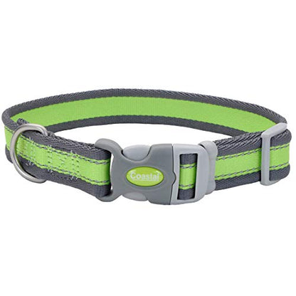 Coastal Pet - Pro - Reflective Adjustable Dog Collar, Bright Green with Grey, 3/4" x 10"-14" - color: Bright Green with Grey, size: 3/4" x 10"-14" (Pack of 1)