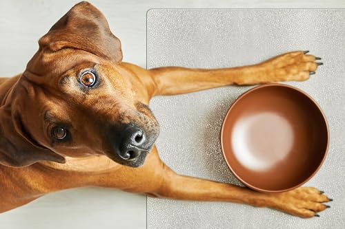 Clear Pet Bowl Protector, USA Made, 12 x 21 Inch, 2mm Thick Pebbled Vinyl, Dog & Cage Mat, Under Fish Tank - color: Riverstone, size: 12 x 21 Inches