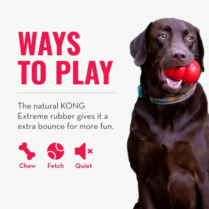 KONG Extreme Ball with Hole - Fetch Toy - Durable Dog Toy for Training, Interactive Playtime & More - Natural Extreme Rubber Ball - Black - for Large Dogs - size: Large