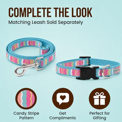 THE WORTHY DOG Spring Holiday Fiesta Stripe Dog Collar – Durable Nylon, Woven Ribbon, Quick-Release Buckle, Nickel D-Ring – Teal, Small - color: Fiesta Stripe - Teal, size: Small