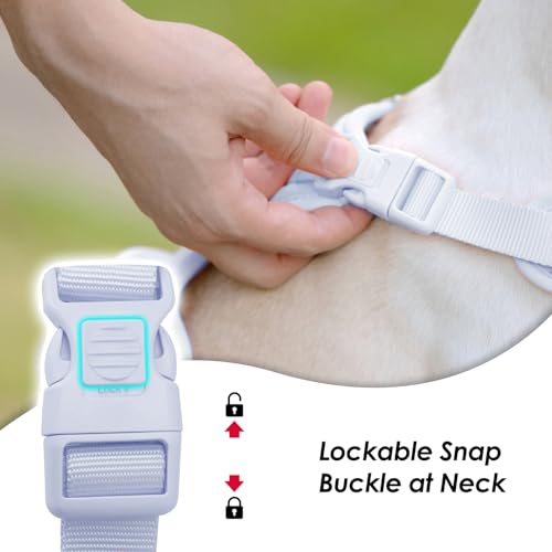 No Pull Dog Harness, Puppy Vest with Front Clip for Small Medium Large Sized Dog(Light Blue,M) - color: Light Blue, size: M(Neck:18.5-25.6", Chest:20.9-30.7")