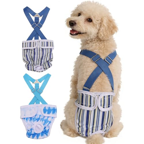 Washable Female Dog Diapers with Suspender, Reusable Dog Diapers Absorbent Leakproof(Striped Blue/Tie-Dye Light Blue M, 2Pcs), Intended for Female in Heat Cycle - color: Striped Blue/Tie-Dye Light Blue, size: M
