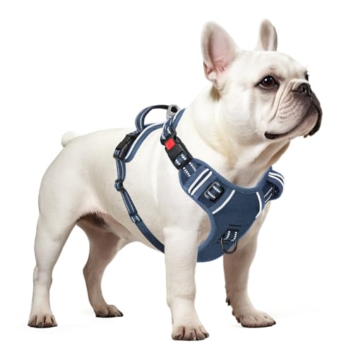 Timos Dog Harness Small Sized, No Pull Pet Harness with Neck Lockable Snap,No Choke Front Clip Dog Reflective Vest,Adjustable Metal Rings 3 Buckles,Easy Control Handle for Small Dogs Royal Blue S - color: Lock Royal Blue, size: Small (Pack of 1)