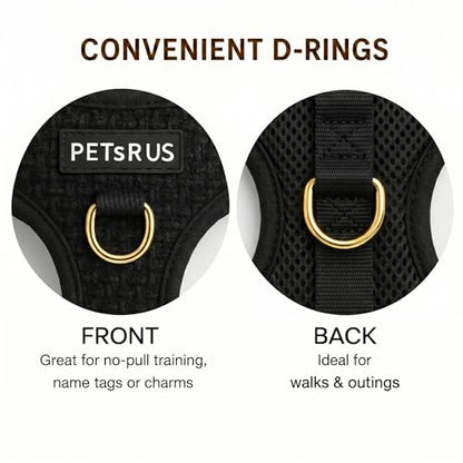 Premium No-Pull Dog Harness Soft Neoprene & Breathable Mesh Vest with Front & Back Clip D-Rings Adjustable Lightweight Walking Harness for Puppies, Small & Medium Dogs (Black Boucle, XS) - color: Black Boucle, size: XS: Neck 10.6-14.2'', Chest 14.2-18.9''