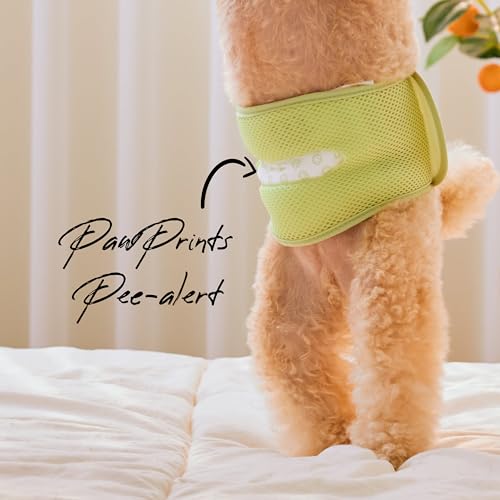 WICKEDPUP Male Dog Belly Band Kit, 50 Diaper Pads & 1 Reusable Male Wrap (Size 1 (14"-17.5" Waist)) - size: Size 1 (14"-17.5" Waist)