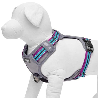 Blueberry Pet Dog Harness Soft & Comfy 3M Reflective Dog Harness Medium Sized Dog - color: Violet and Celeste, size: Small