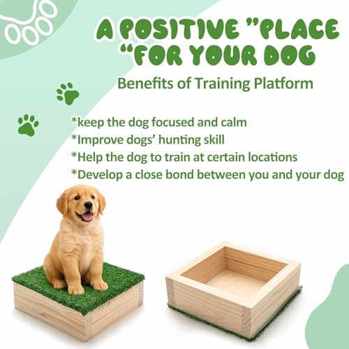 Dog Training Platform 11.81" Non Slip Pivot Box Place Board for Obedience, Hind Limb Awareness Practice Portable Place Board for Indoor Outdoor Use, Puppy to Medium Dogs Agility Training Equipment