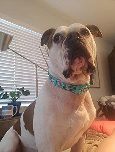 Adjustable Dog Collar, Durable Nylon Collars for Large Female Male Dogs & Puppies, Flamingo Print Cute and Soft - color: Green Flamingo, size: Small