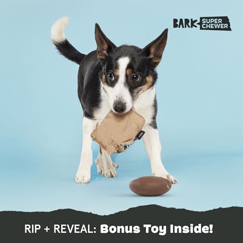 Barkbox Jitter Pug Coffee Bean Dog Toy for Medium Dogs, Hidden Surprise Toy Inside for Engaged and Excited Playtime Fun - color: Jitter Pug Coffee Bean