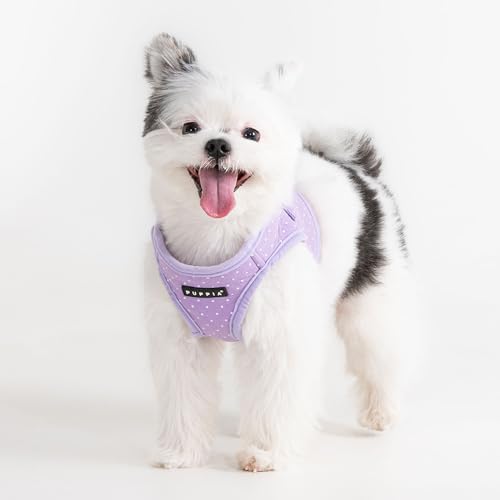 Puppia Dotty Dog Vest Harness B (Step-in) Fashionable Polka Dot Pattern Spring Summer Harness for Small Dogs, Violet, Medium - color: Violet, size: Medium