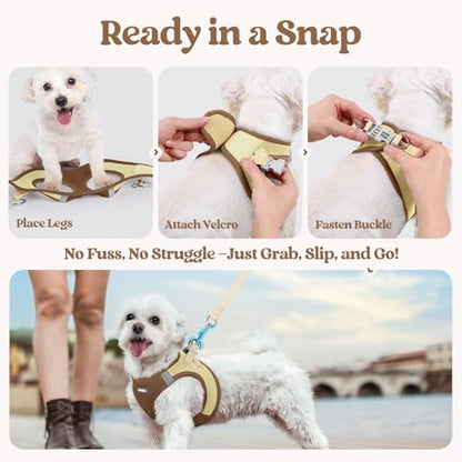 rabbitgoo Dog Harness Small Sized and Leash Set, Step in Soft Light Puppy Vest, Breathable Mesh Pet Harness, Reflective for Safe Easy Walking, Brown & Beige XXS - color: Brown & Beige, size: Xxs (chest: 12.4 - 14.2")