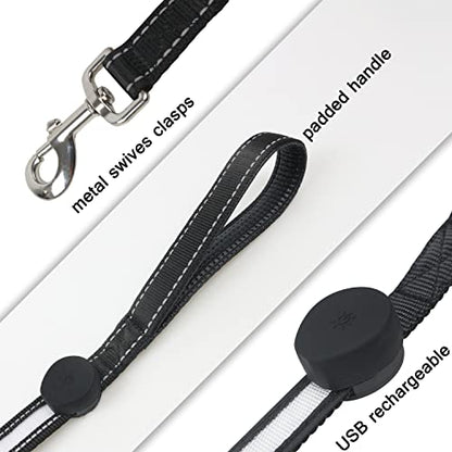USB Rechargeable LED Dog Leash - 7 Colors & Color Cycling Mode, Light Up Dog Leash for Night Walking, Heavy Duty Padded Handle, 6FT for Small Medium Large Dogs
