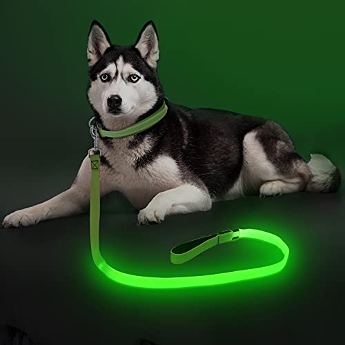 Colaseeme LED Light Up Dog Leash, USB Rechargeable (4FT,Green) | Glow in dark, reflective, USB-C rechargeable, bright LED for night safety, fits small to large dogs - color: Green, size: 4FT
