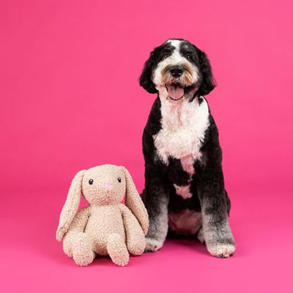 Fringe Studio Large Plush Dog Toy, Hoppy to See You, 19" Tall x 13" Wide, Pet Shop Collection (728034) - color: Hoppy To See You