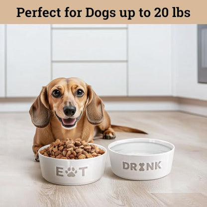 Ceramic Dog Bowl Set of 2 with Anti-Skid Base, 5.5"W x 2"H, 2 Cup Capacity | Thick Ceramic, Dishwasher Safe, Anti-Skid Rubber Base, 2 Cups per Bowl, Ceramic Food and Water Bowls Set of 2 for Small Dogs - color: Gray, size: Small 5.5"
