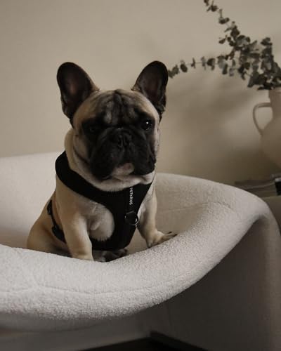 Premium No-Pull Dog Harness Soft Neoprene & Breathable Mesh Vest with Front & Back Clip D-Rings Adjustable Lightweight Walking Harness for Puppies, Small & Medium Dogs (Black, M) - color: Black, size: M: Neck=15.4-20.1''/Chest=18.1-24.4''