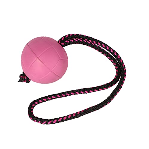 Dingo Dog Ball with Short Handle, Water Toy, Natural Rubber, Pink BIBI