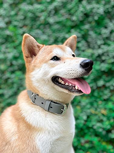 Tuff Pupper Classic Heavy Duty Dog Collar | 10x Stronger Than Leather | 100% Waterproof & Odor Proof Dog Collar | Tough Rust-Proof All Metal Hardware - color: Cool Gray