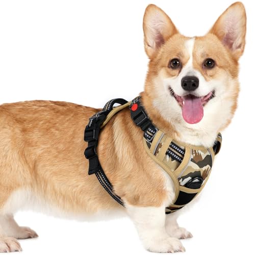 rabbitgoo Dog Harness Small Sized, No Pull Easy On & Off with 3 Buckles Pet Harness, Adjustable Soft Walking Vest with 2 Clips and Handle, Reflective for Small Dogs, Desert Ridge, S - color: Desert Ridge, size: Small