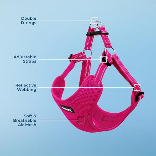 Best Pet Supplies Voyager Adjustable Step-in Flex Breathable Mesh Dog Harness for Small Medium Large Dogs (Fuchsia), S - color: Harness (Fuchsia), size: S