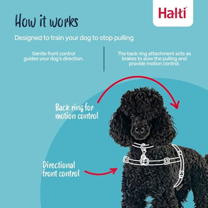 Halti Front Control Harness - Stop Your Dog Pulling on the Leash. Adjustable, Lightweight and Easy to Use. Anti-Pull Dog Training Harness for Medium Dogs (Size M) - size: Medium