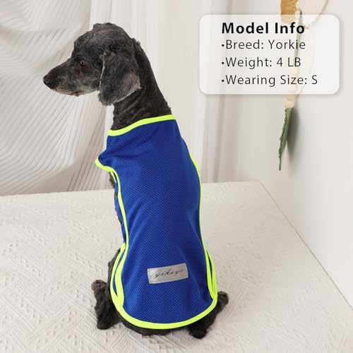 2 Pack Dog Clothes,Dog Shirts for Small Dogs,Quick Dry Dog Vest Boy Girl Summer, Puppy T-Shirt with Reflective Strip,Sun Protection Sleeveless Cool Breathable Pet Apparel(Blue and Turquoise, XS) - color: Blue and Turquoise, size: X-Small (Chest 12.2 in)