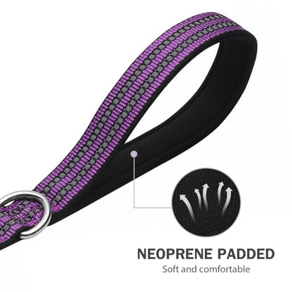 Hikiko 4FT Purple Dog Leash with Dual Handles Heavy Duty Reflective Strong Dog Leash for Walking and Training - color: Purple, size: 1 in x 4 ft