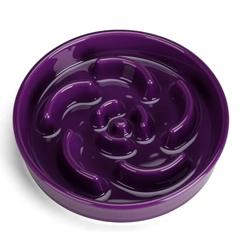 Slow Feeder Dog Bowl, Ceramic 2 Cups Dog Food Bowls for Small, Medium, and Large Breed, Anti-Slip Maze Puzzle Food Dish to Slow Down Eating (Deep Purple, 2 Cups) - color: Flower - Deep purple